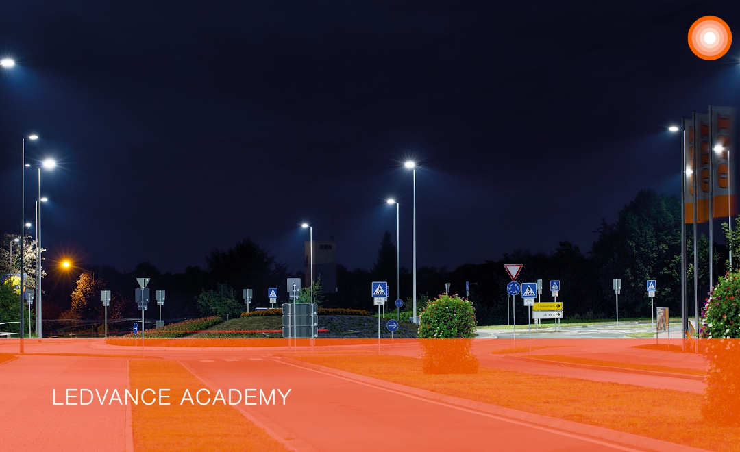 LDV Academy